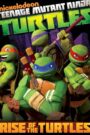 Teenage Mutant Ninja Turtles Rise of the Turtles