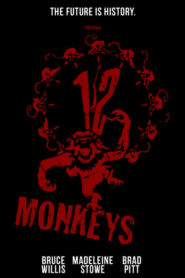 12 małp
